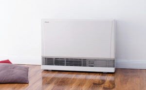 Rinnai 1005FT Flued Gas Heater