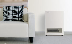 Rinnai 561FT Energysaver Flued Gas Space Heater - includes Direct Flue Kit
