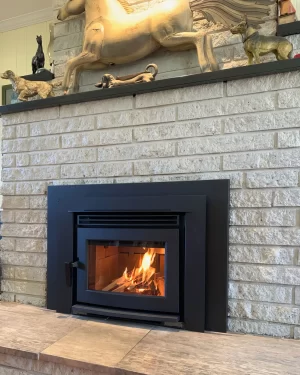 Pacific Energy Neo 2.5 Inbuilt Wood Heater